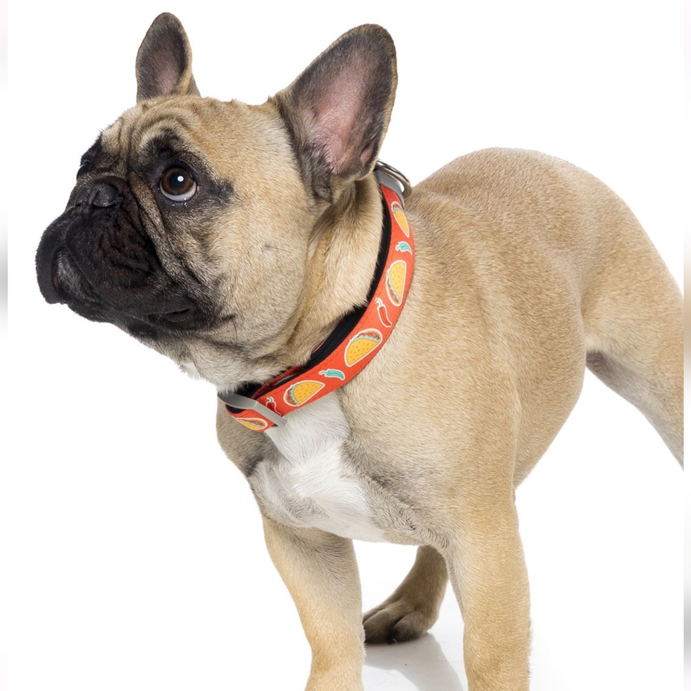 Fuzz Yard Taco Doggie Collar 🌮 New No Tags